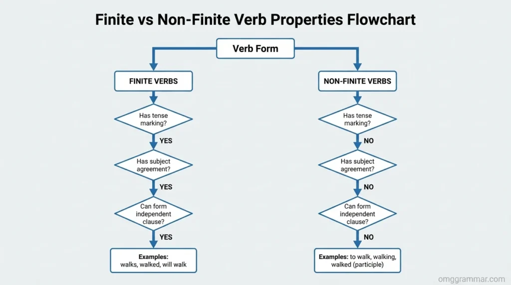 Finite vs Non-Finite Verb Properties Flowchart