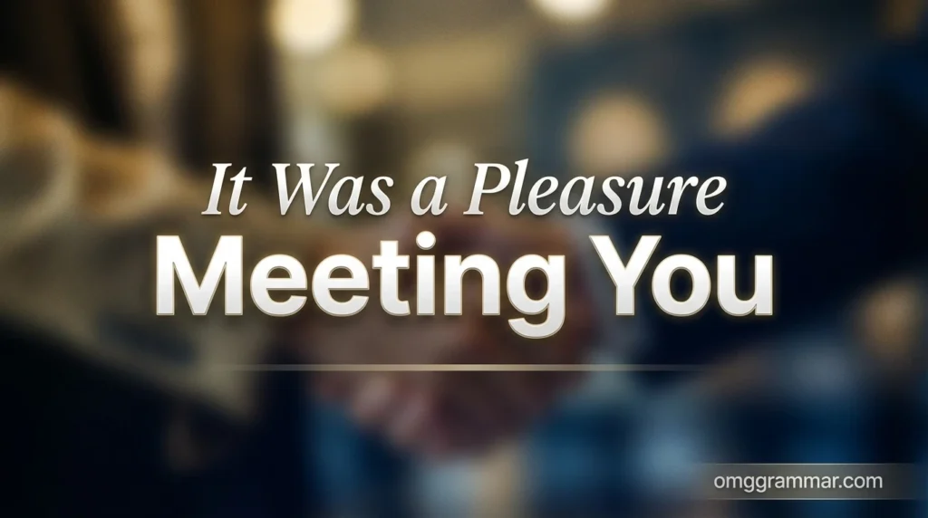 It Was a Pleasure Meeting You