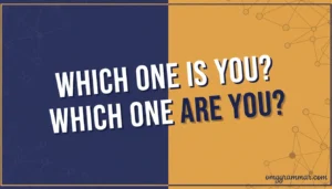 “Which One Is You” or “Which One Are You”? The Right Answer