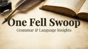 One Fell Swoop: Meaning, Origin, and How to Use It Correctly