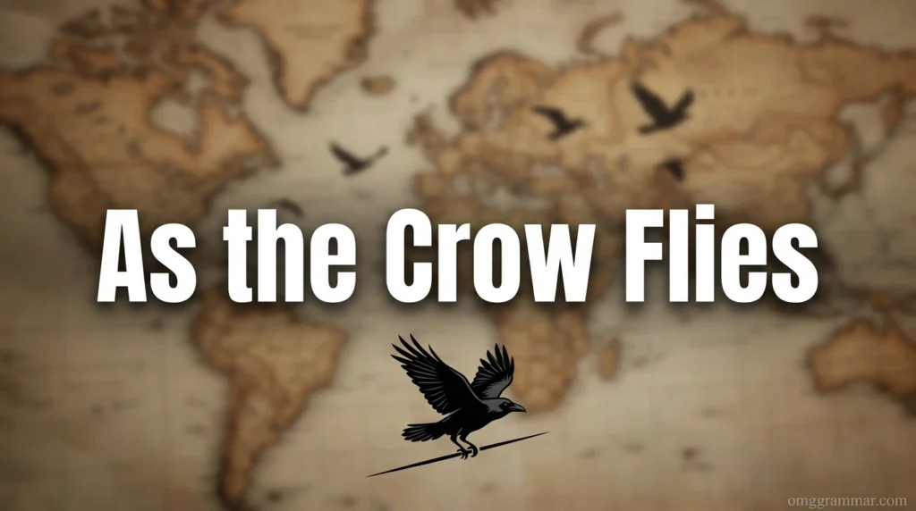 As the Crow Flies