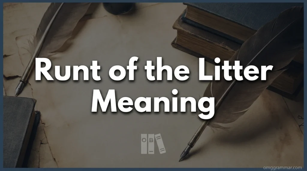 Runt of the Litter Meaning