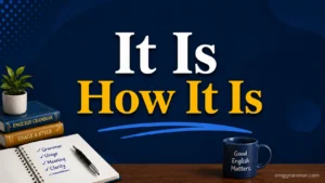 It Is How It Is Meaning: Definition, Usage, and Examples 
